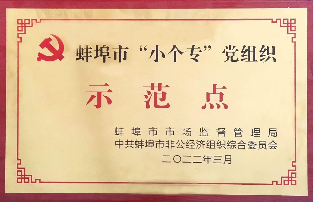 盛世新能源黨支部榮獲蚌埠市“小個?！秉h組織示范點稱號