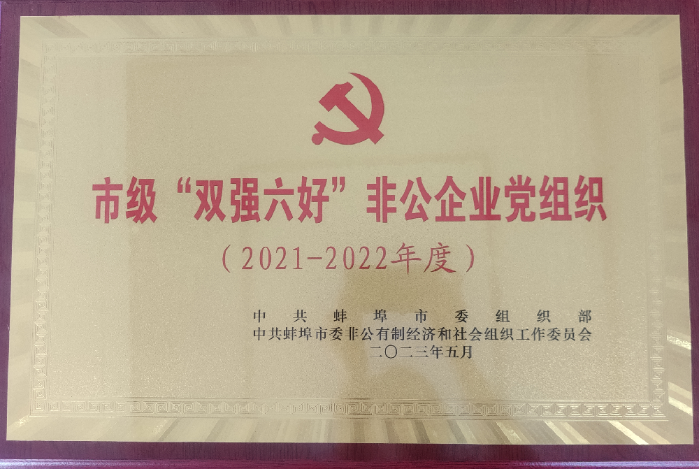 喜報！中共安徽盛世新能源材料科技有限公司支部委員會榮獲蚌埠市“雙強六好”非公企業(yè)黨組織榮譽稱號