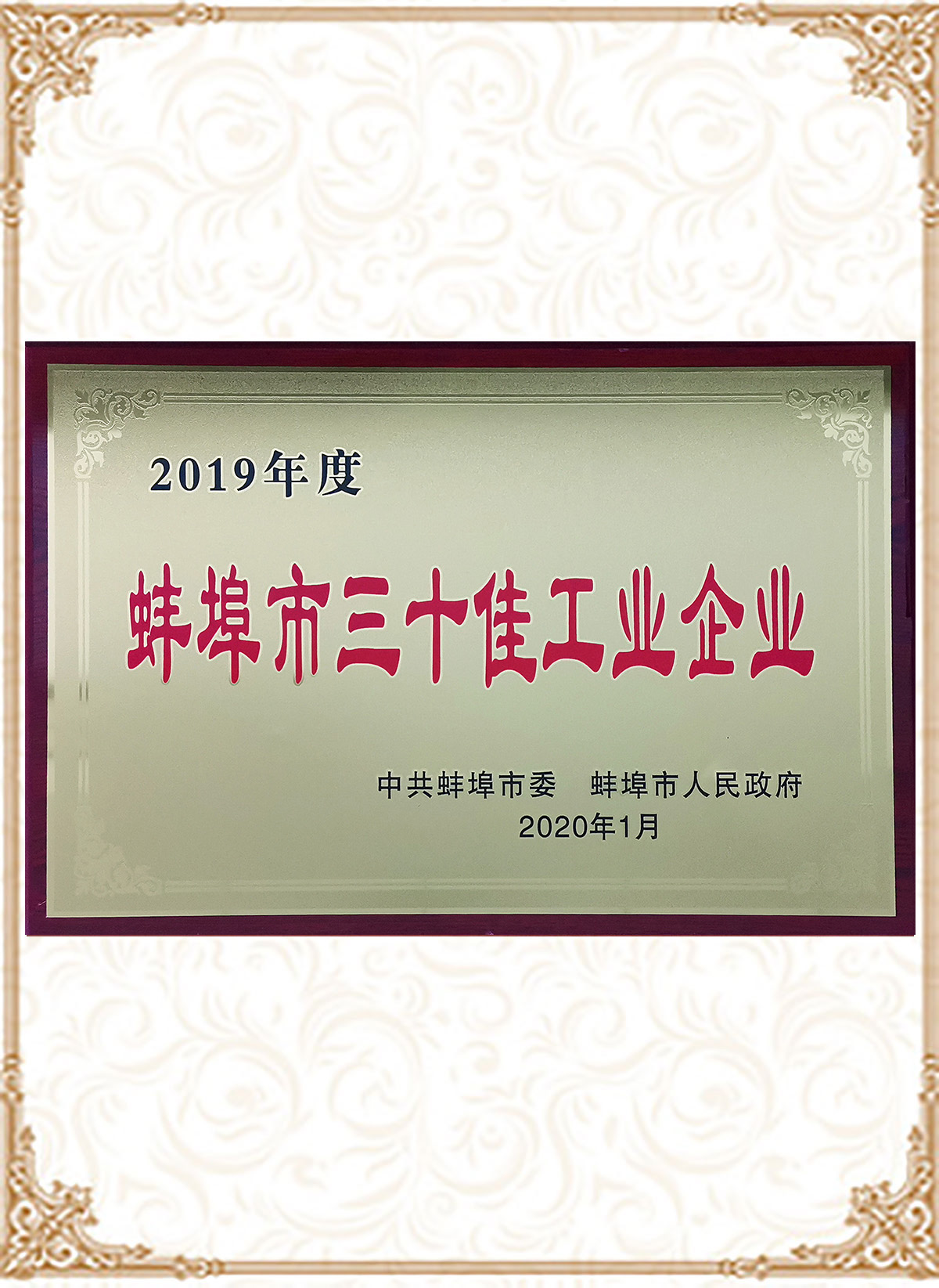 蚌埠市三十佳工業(yè)企業(yè)